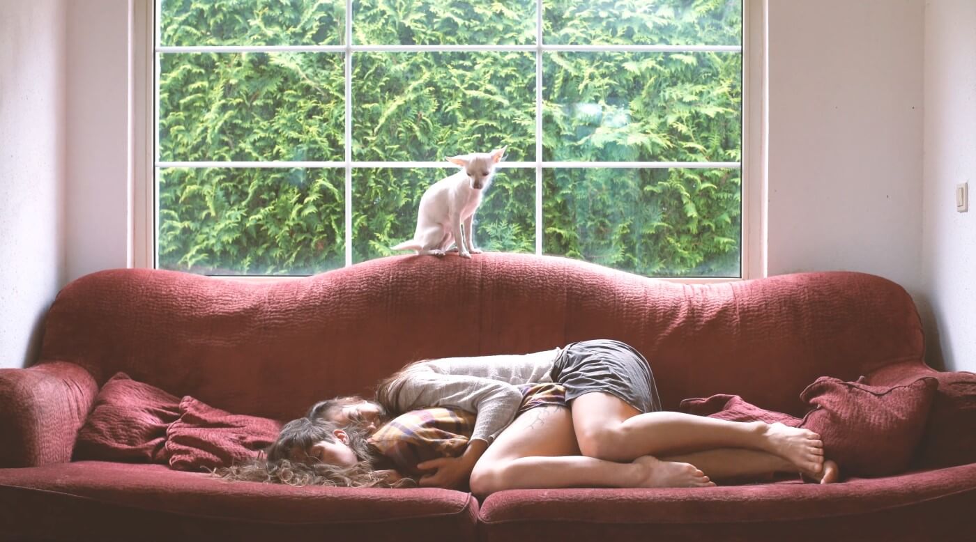 Two people hold each other while lying on a large red couch in front of a window; on top of the couch sits a chihuaua, and in the window is green foliage